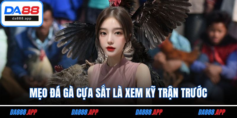 Mẹo đá gà cựa sắt là xem kỹ trận trước