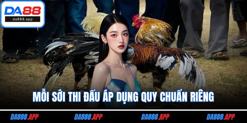 Mỗi sới thi đấu áp dụng quy chuẩn riêng