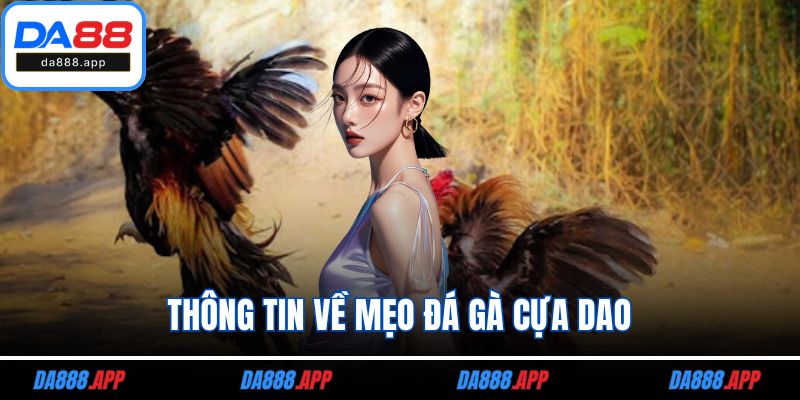 Thông tin về mẹo đá gà cựa dao