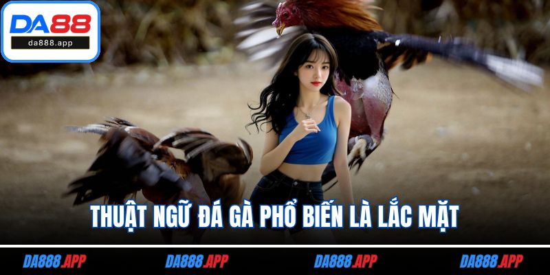 Thuật ngữ đá gà phổ biến là lắc mặt