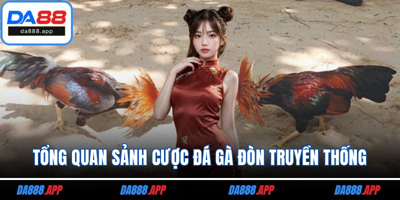 Tổng quan sảnh cược đá gà đòn truyền thống