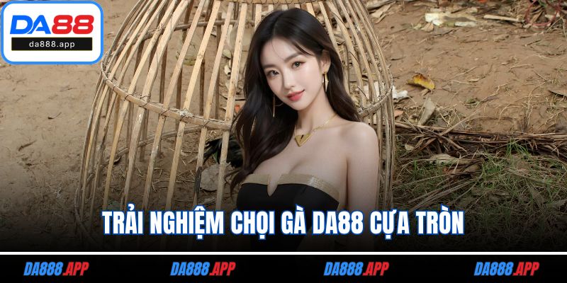Trải nghiệm chọi gà DA88 cựa tròn